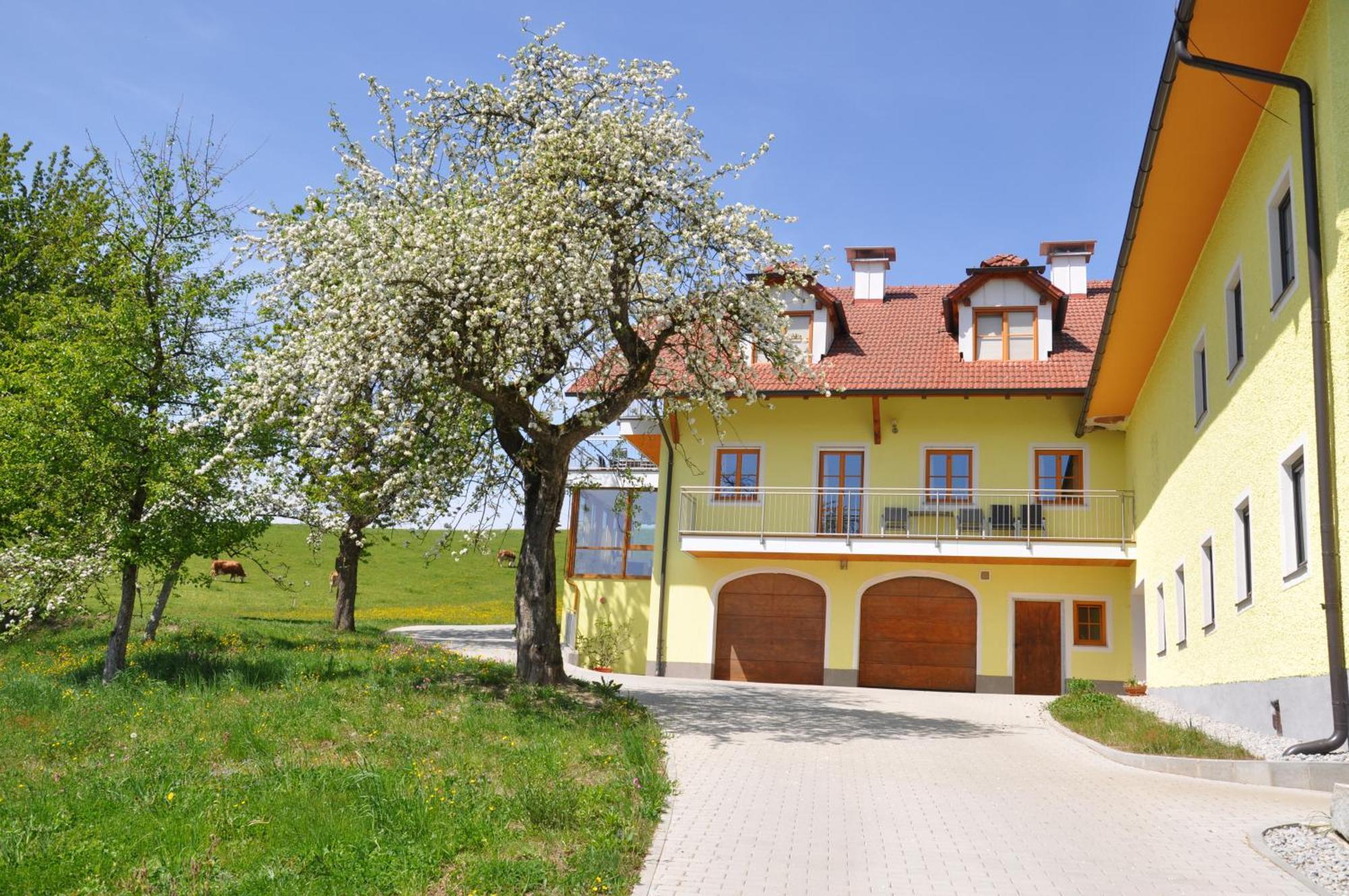 Ferienwohnung Mayrhofer Hofkirchen im Mühlkreis Exterior photo